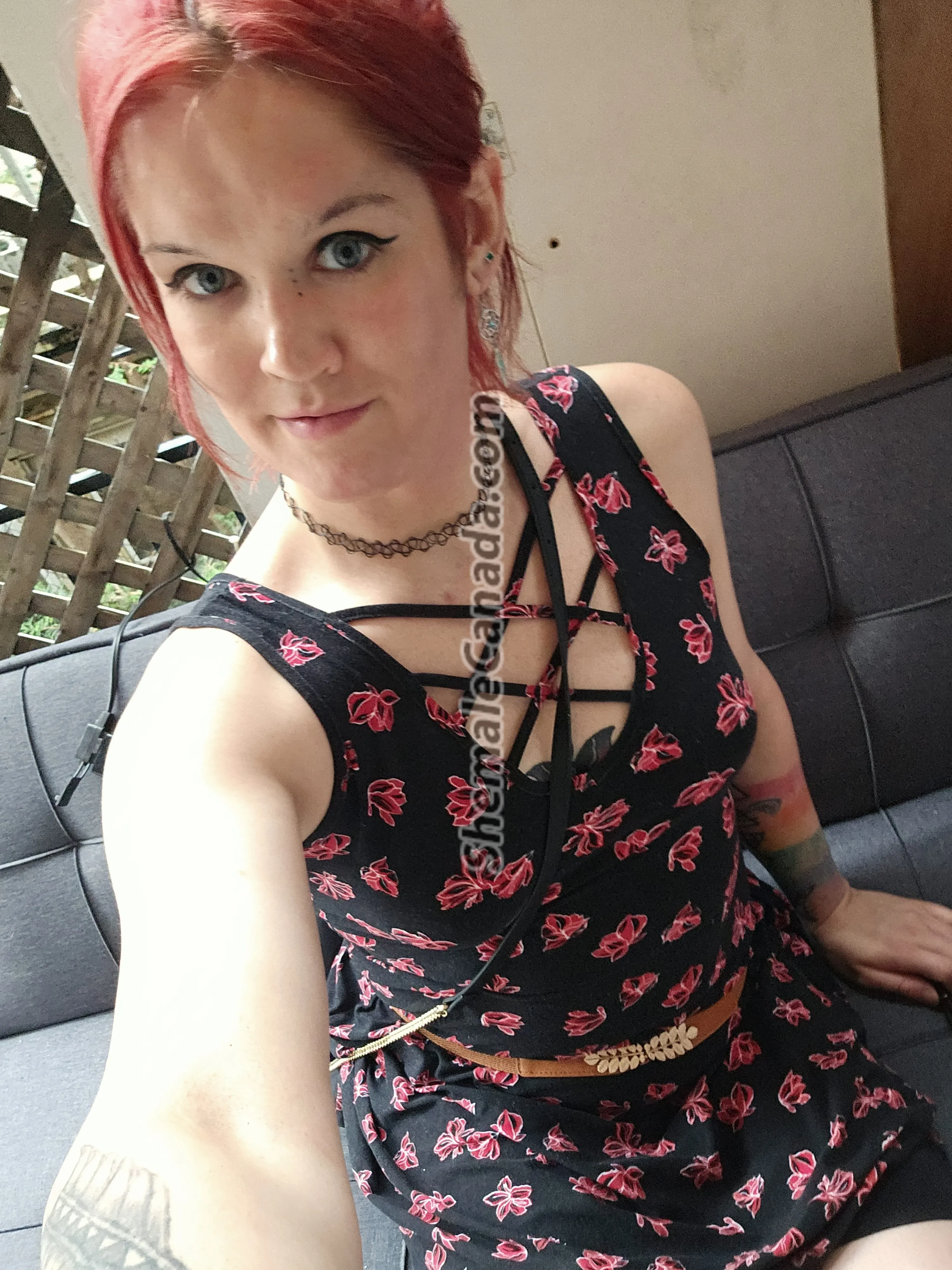 Feed Photo