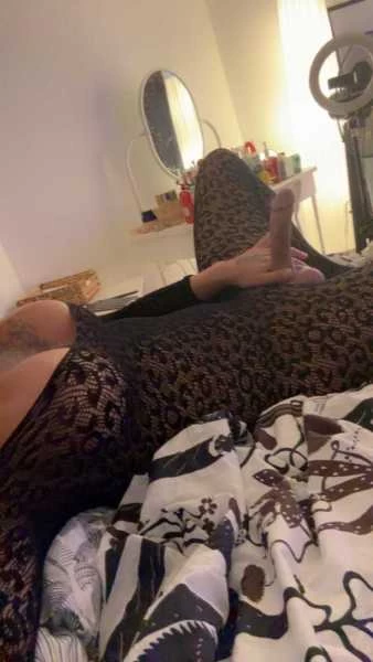 Photo 12 of Judy 20cm