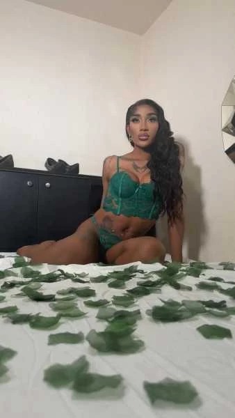 Photo 7 of TS PINK THE WELL HUNG CHOCOLATE DOLL