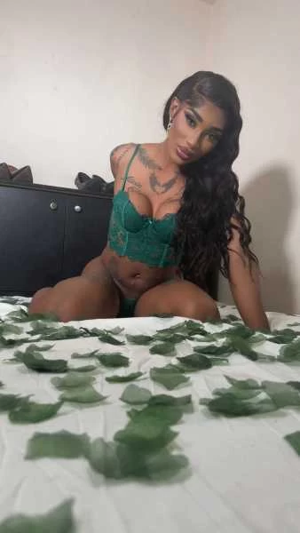 Photo 12 of TS PINK THE WELL HUNG CHOCOLATE DOLL