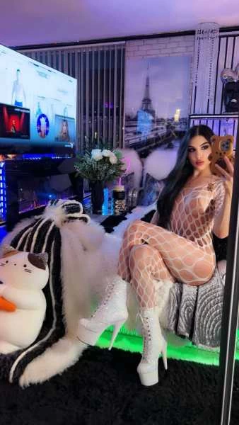 Photo 29 of {N O O R S T A R}