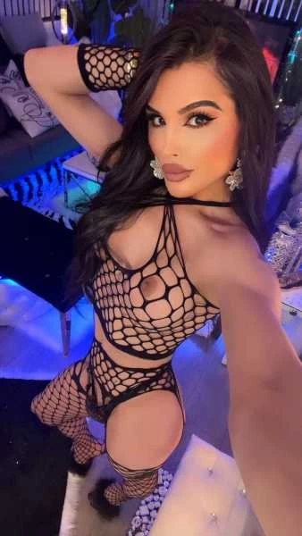 Photo 36 of {N O O R S T A R}