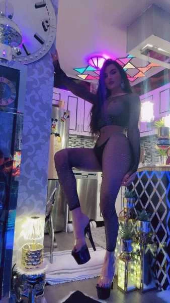 Photo 32 of {N O O R S T A R}