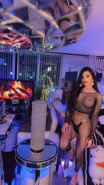 Photo 33 of {N O O R S T A R}