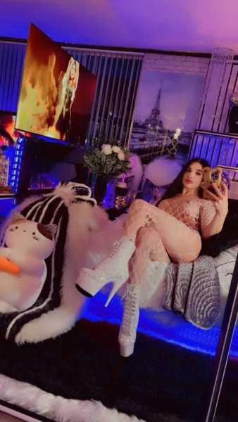 Photo 31 of {N O O R S T A R}