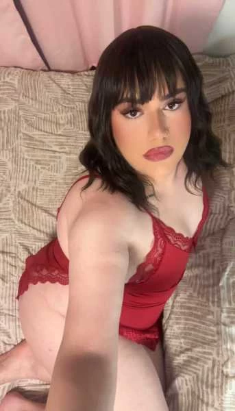 Main photo of /storage/photos/9591/thumbs/1759452377_IMG_6664-thumb.webp